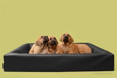 Bia Bed Original Hundebett Squaredesign – Orthopädisch, schwarz - LUIS & LEON