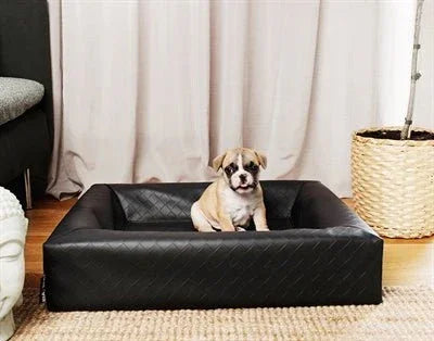 Bia Bed Original Hundebett Squaredesign – Orthopädisch, schwarz - LUIS & LEON