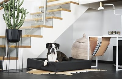 Bia Bed Ortho Hundebett Schwarz – orthopädischer Schlafplatz für Hunde - LUIS & LEON