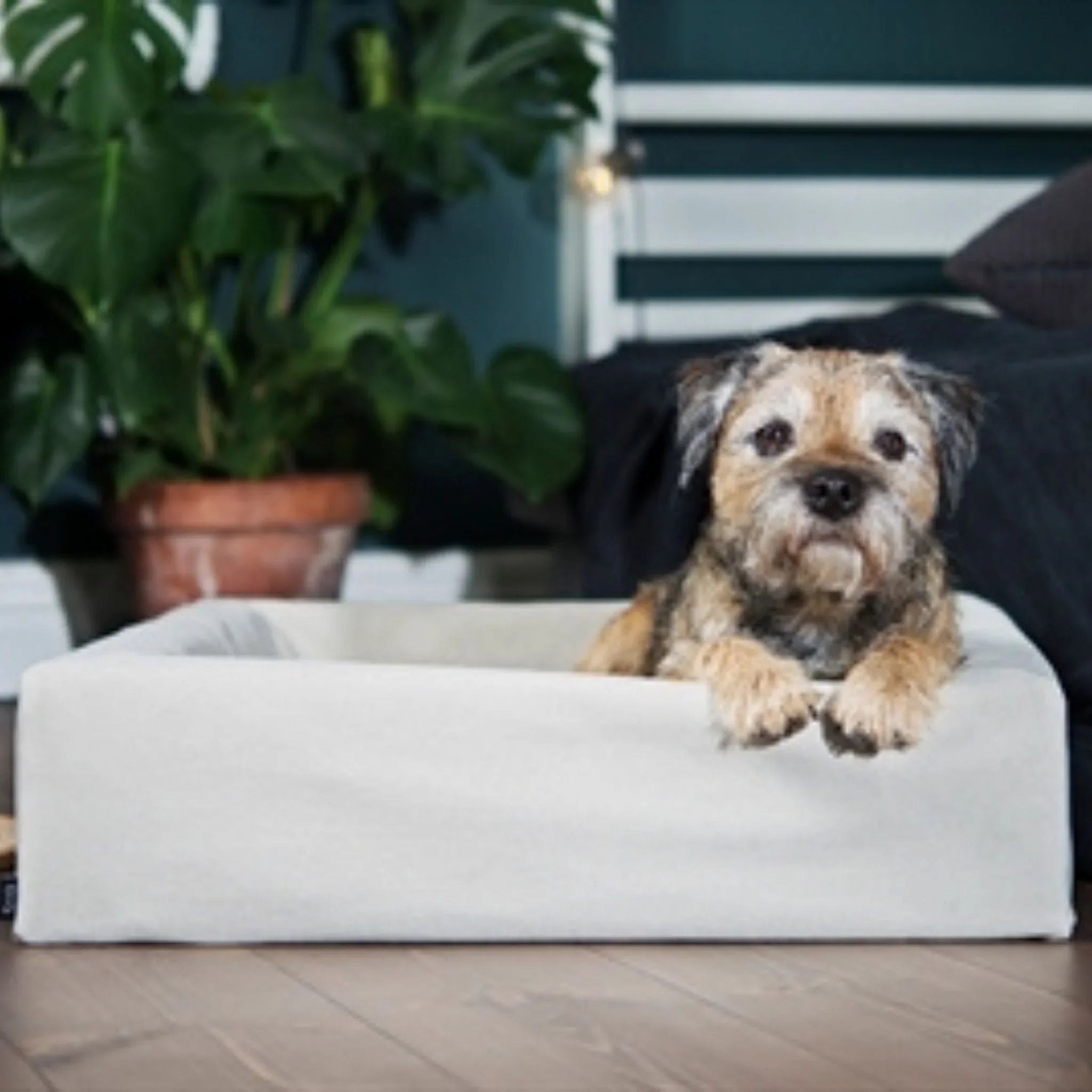Bia Cotton Bezug Sand – Stilvoller Baumwollbezug für dein Bia Bed - LUIS & LEON