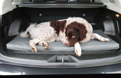 Bia Mattress - Hundematratze - Grau - LUIS & LEON