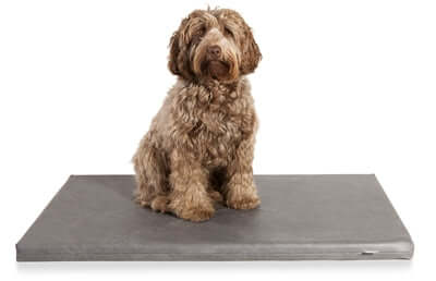 Bia Mattress - Hundematratze - Grau - LUIS & LEON
