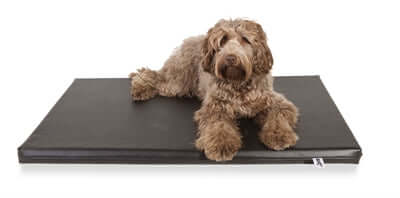 Bia Mattress - Hundematratze - Schwarz - LUIS & LEON