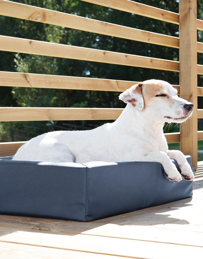 Bia Bed Original Hundebett mit erhöhtem Rand – Outdoor Hundebett blau