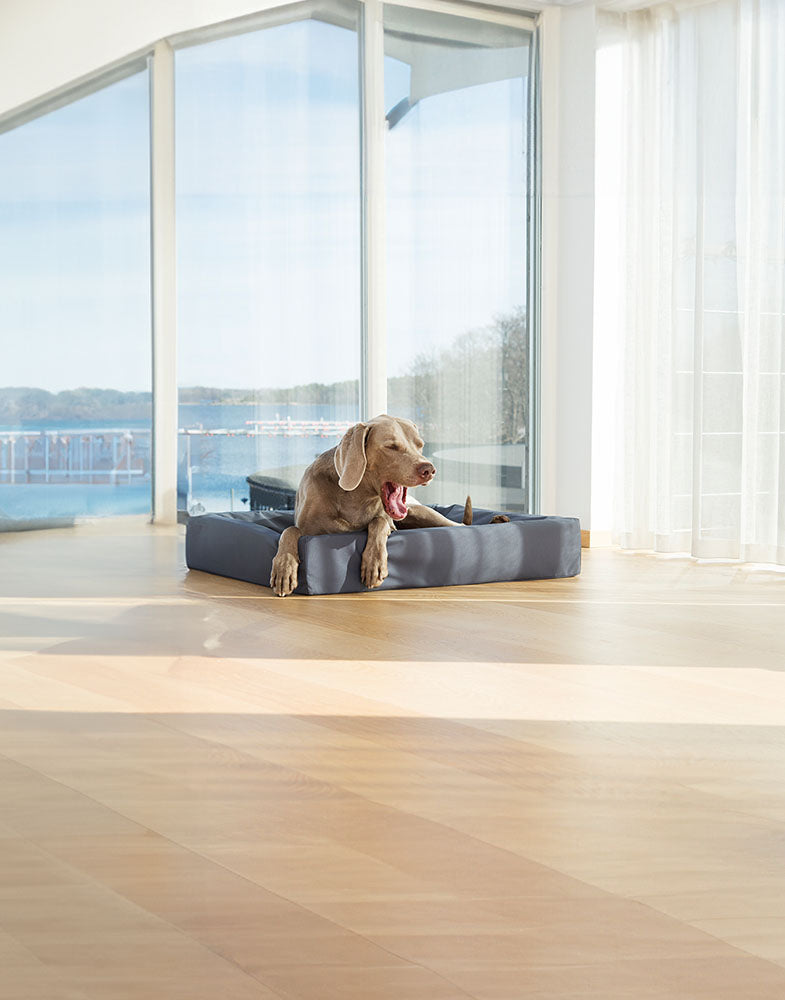 Bia Bed Original Hundebett mit erhöhtem Rand – Outdoor Hundebett blau