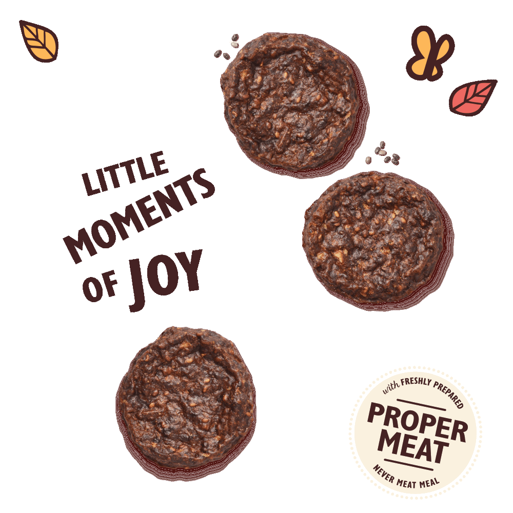 LILY'S KITCHEN The Best Ever Beef Mini Burgers - Miniburger Rind, Leckerli - LUIS & LEON