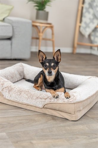 Hundebett mit Memory - Schaum – TRIXIE Vital Bett Lino Soft - LUIS & LEON