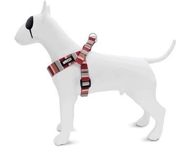Hundegeschirr Mini verstellbar - Morso SKYLINE - LUIS & LEON
