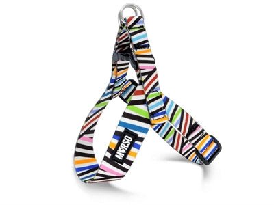Hundegeschirr Mini verstellbar - Morso SPAGHETTI INCIDENT für kleine Hunderassen - LUIS & LEON