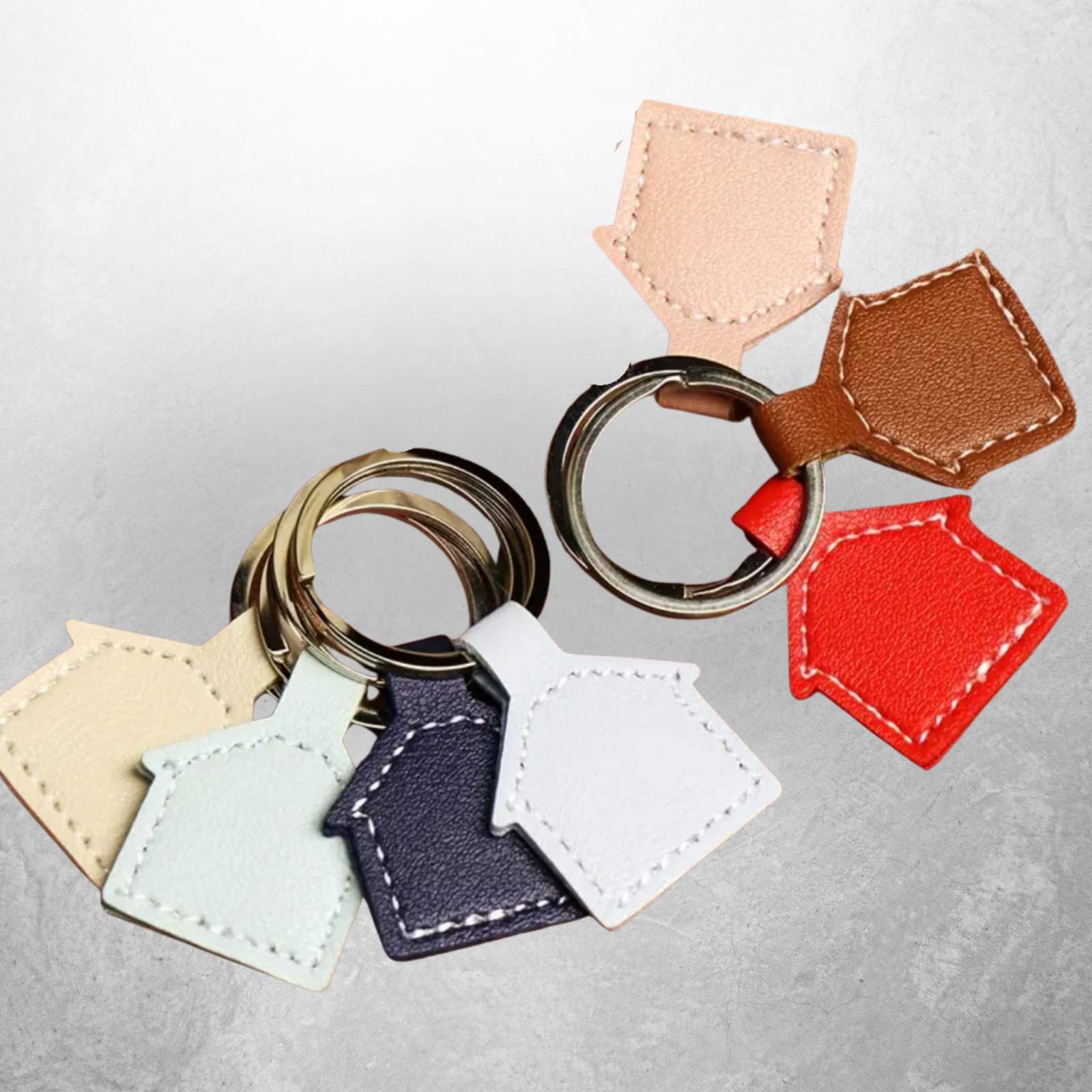 Hundemarke LUIS & LEON Haus – Kunstleder, geräuschlos & gravierbar - LUIS & LEON