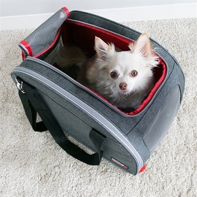 KONG 2 - in - 1 Reistasche & Reisematte für kleine Hunde - LUIS & LEON
