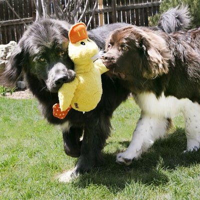 KONG Comfort Jumbo Ente – Extra großes Hundespielzeug - LUIS & LEON