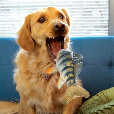 Kong Fisch Barsch - Ultra - robuster Dummy für Hunde - LUIS & LEON