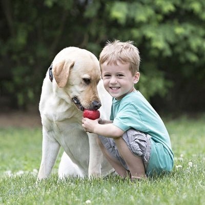 Kong Klassisch Rot - Robustes Hundespielzeug und Zahnpflege - LUIS & LEON