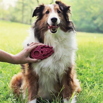 KONG ZoomGroom Hundebürste – Fellpflege & Massage für gesundes Fell - LUIS & LEON