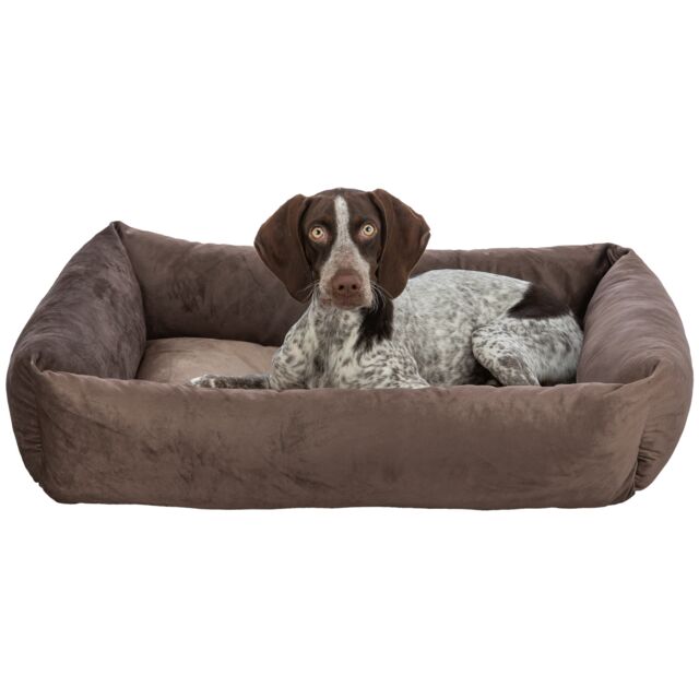 Trixie Be Eco Hundebett Lionel - Basic Edition, Braun, Eckig Recycelt
