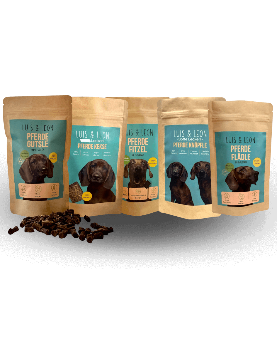 LUIS & LEON Kleiner Cowboy – Pferde-Snack-Bundle- 5 Leckereien - LUIS & LEON
