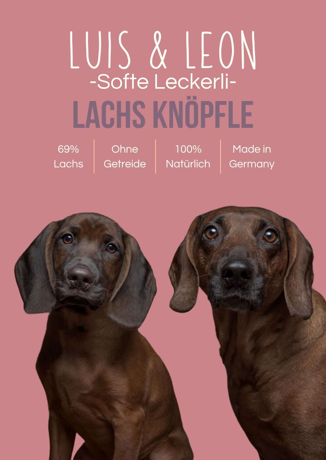 LUIS & LEON Lachs Knöpfle – Softe, Getreidefreie Hundeleckerli - LUIS & LEON