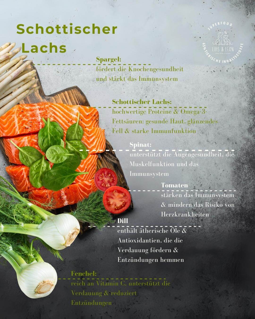 LUIS & LEON Schottischer Lachs – Trockenfutter mit Superfood für ausgewachsene Hunde - LUIS & LEON