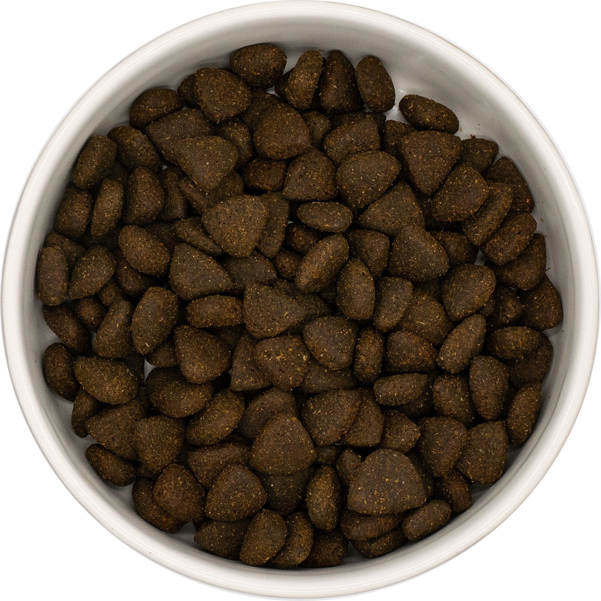 LUIS & LEON Schottischer Lachs – Trockenfutter mit Superfood für ausgewachsene Hunde - LUIS & LEON