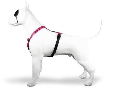 Morso BUBBLE LEO H-Dog-Harness - H-Hundegeschirr - LUIS & LEON