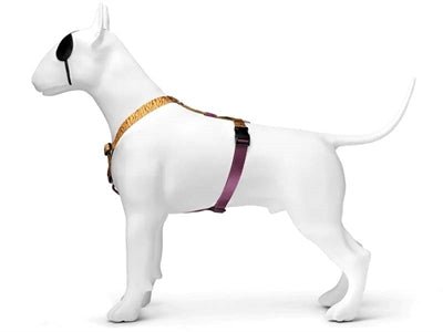 Morso JUNGLE DRUM H-Dog-Harness - H-Hundegeschirr - LUIS & LEON