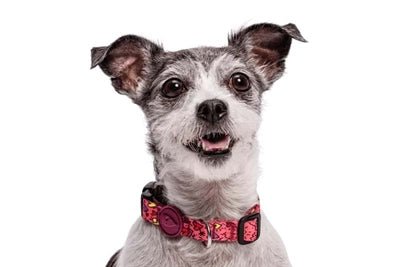 Morso - PINK THINK Halsband - recyceltes PET - LUIS & LEON