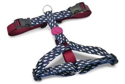 Morso POWER FLOW H - Dog - Harness - H - Hundegeschirr - LUIS & LEON