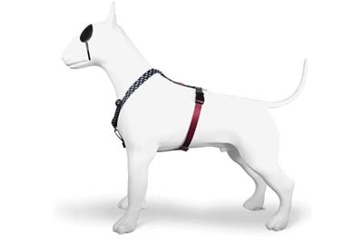 Morso POWER FLOW H - Dog - Harness - H - Hundegeschirr - LUIS & LEON