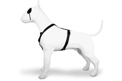 Morso PURENESS H - Dog - Harness - H - Hundegeschirr - LUIS & LEON