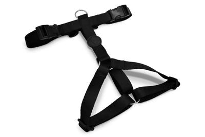 Morso PURENESS H - Dog - Harness - H - Hundegeschirr - LUIS & LEON