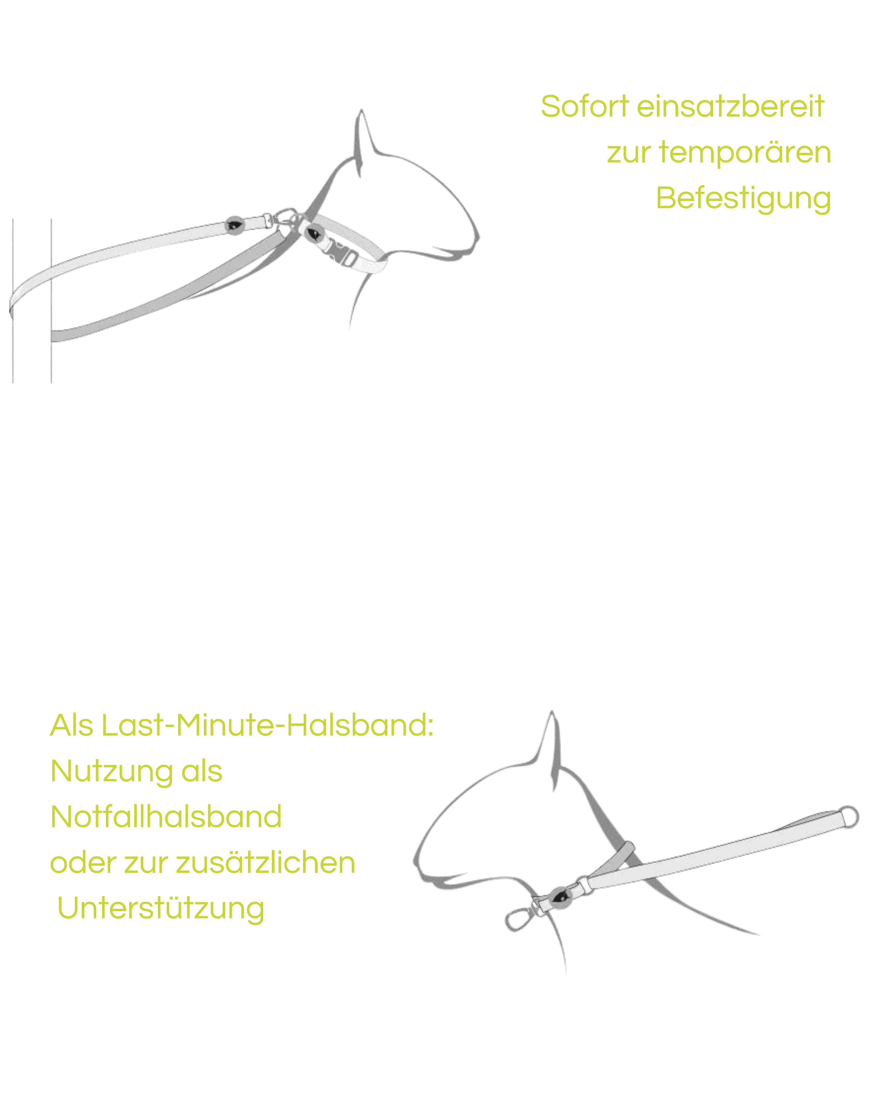 Morso - SKYLINE Multifunktions - Hundeleine - recyceltes PET - LUIS & LEON