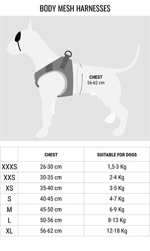 Morso SWEET TWEET Body mesh harness - Step - In Geschirr - LUIS & LEON