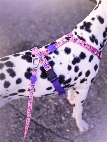Morso - SWEET TWEET kurze Hundeleine - recyceltes PET - LUIS & LEON