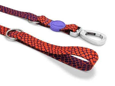 MORSO - URBAN LIZARD Multifunktions-Hundeleine - recyceltes PET - LUIS & LEON