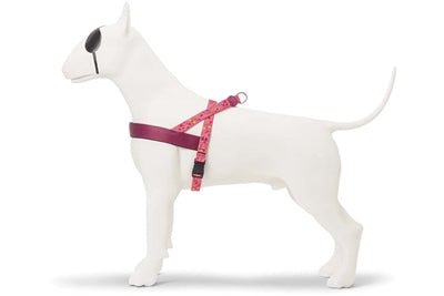 Norwegergeschirr für Hunde - Morso PINK THINK - LUIS & LEON