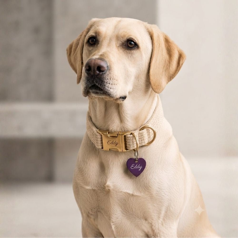 Personalisierte Hundemarke Aluminium Herz - Motiv - LUIS & LEON
