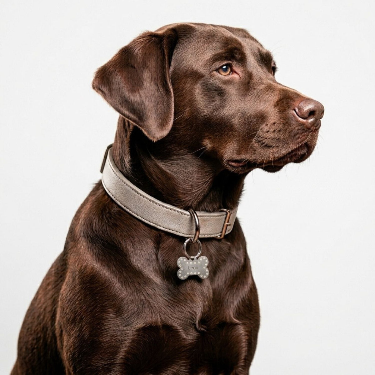 Personalisierte Hundemarke Aluminium Knochen – Strass - LUIS & LEON
