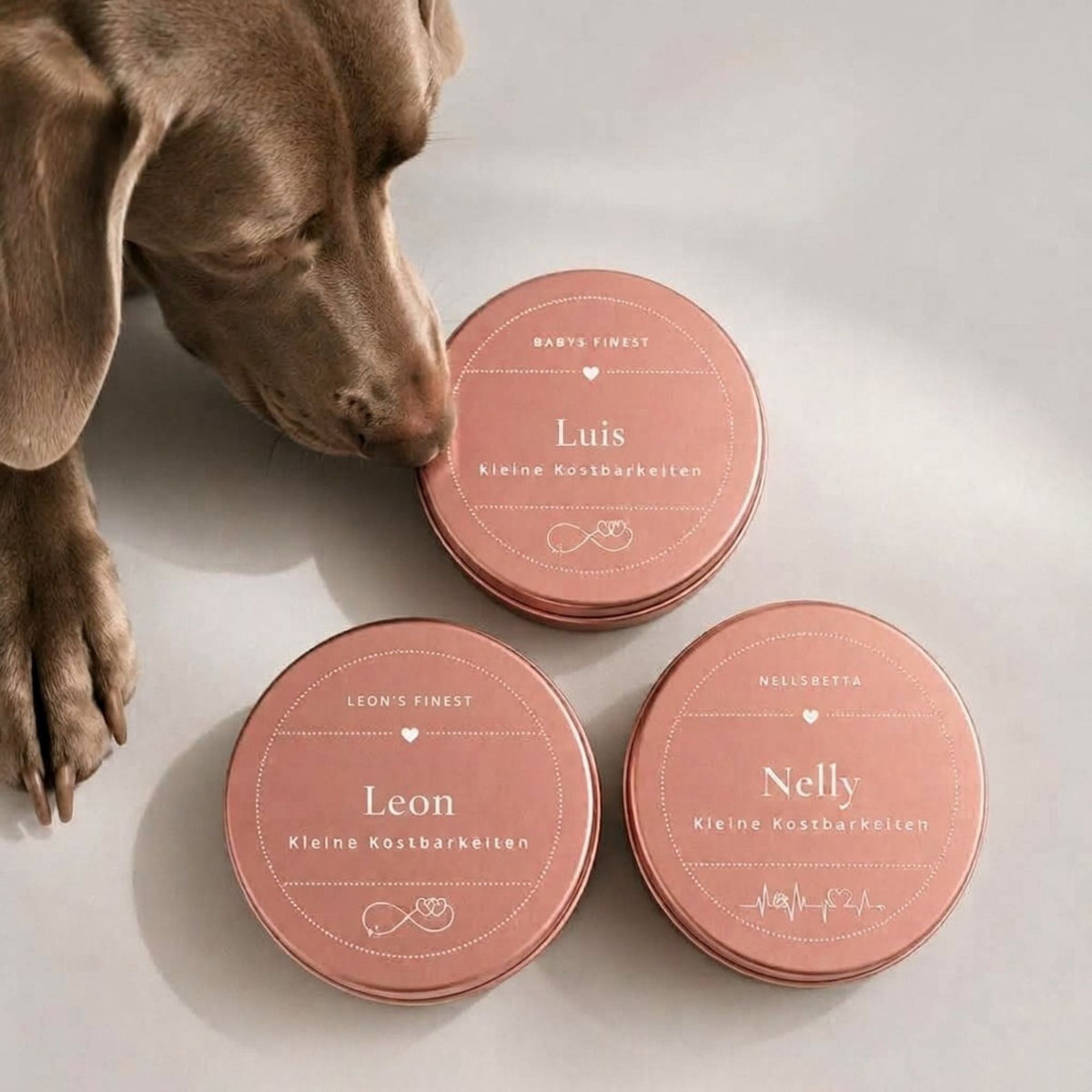 Personalisierte Leckerlidose für Hunde mit Gravur – Design Frame - LUIS & LEON