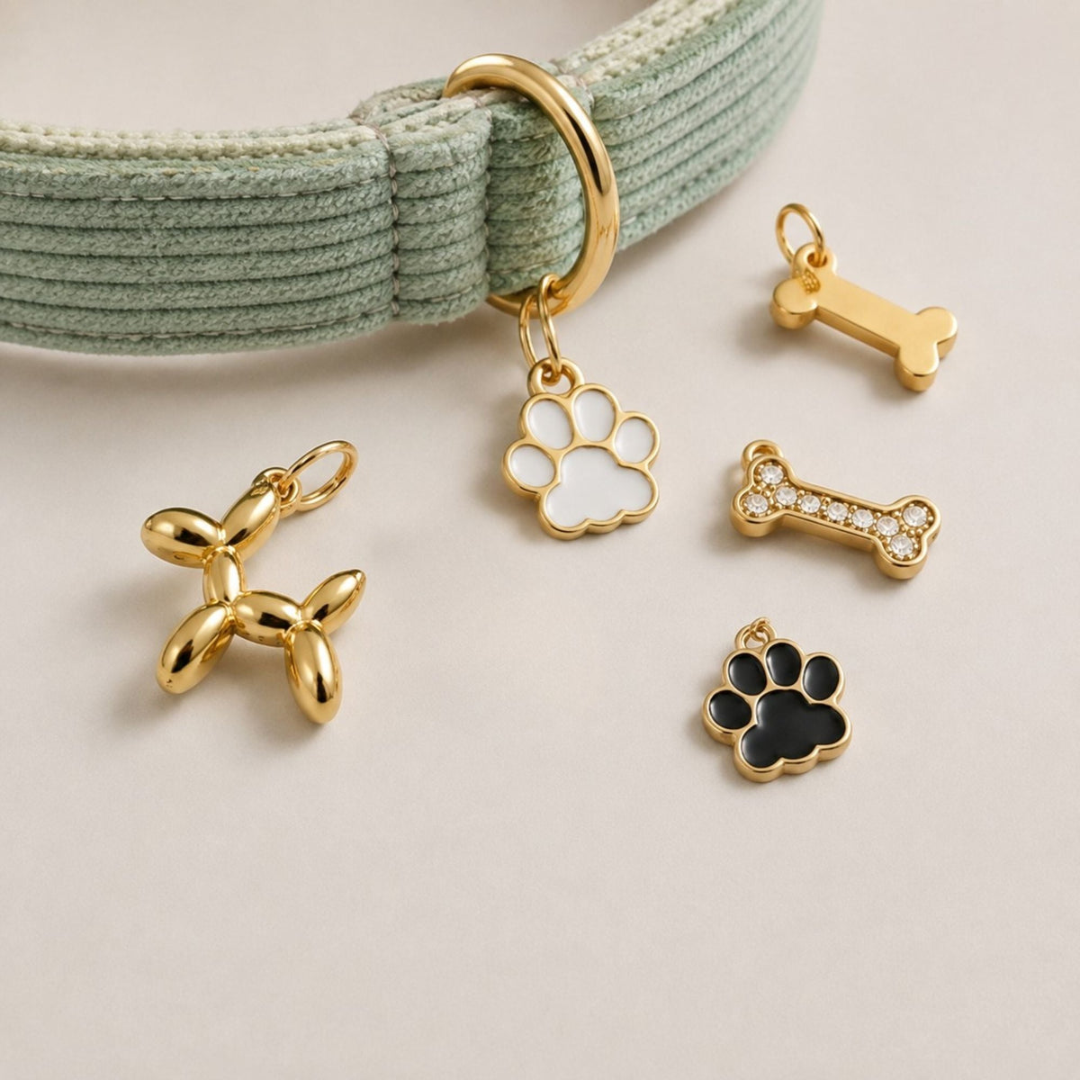 Personalisiertes Hundehalsband Kordsamt – Gold - LUIS & LEON
