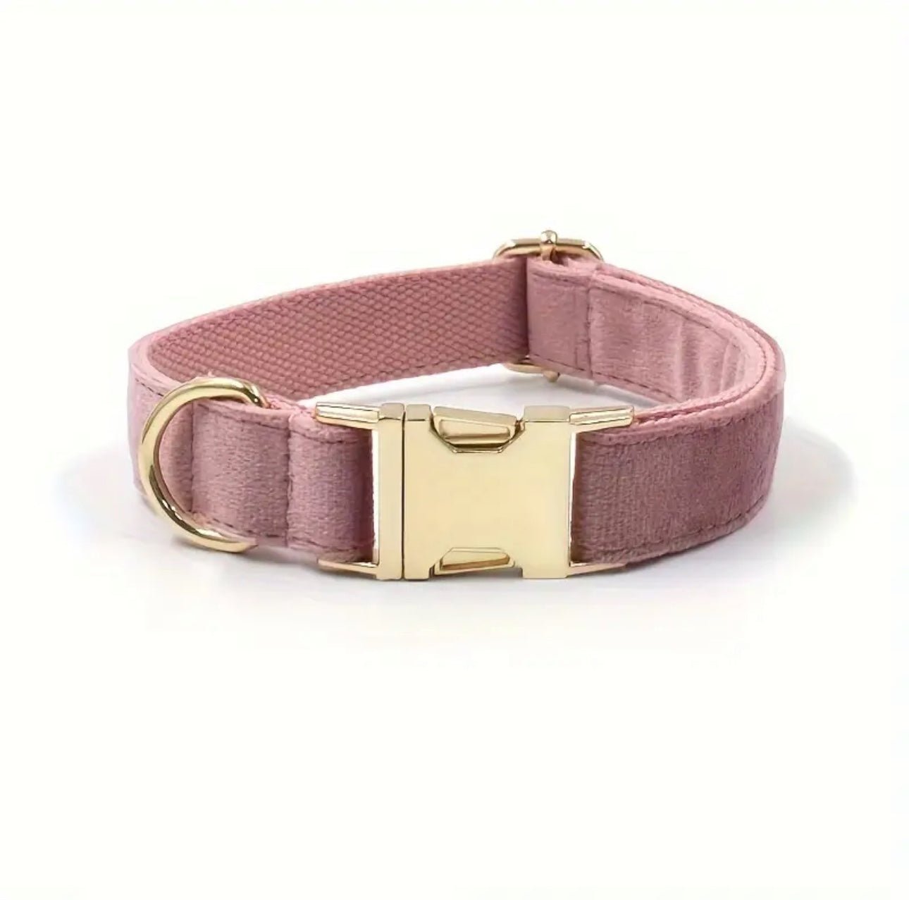 Personalisiertes Hundehalsband mit Name – Samt & Gold | LUIS & LEON - LUIS & LEON