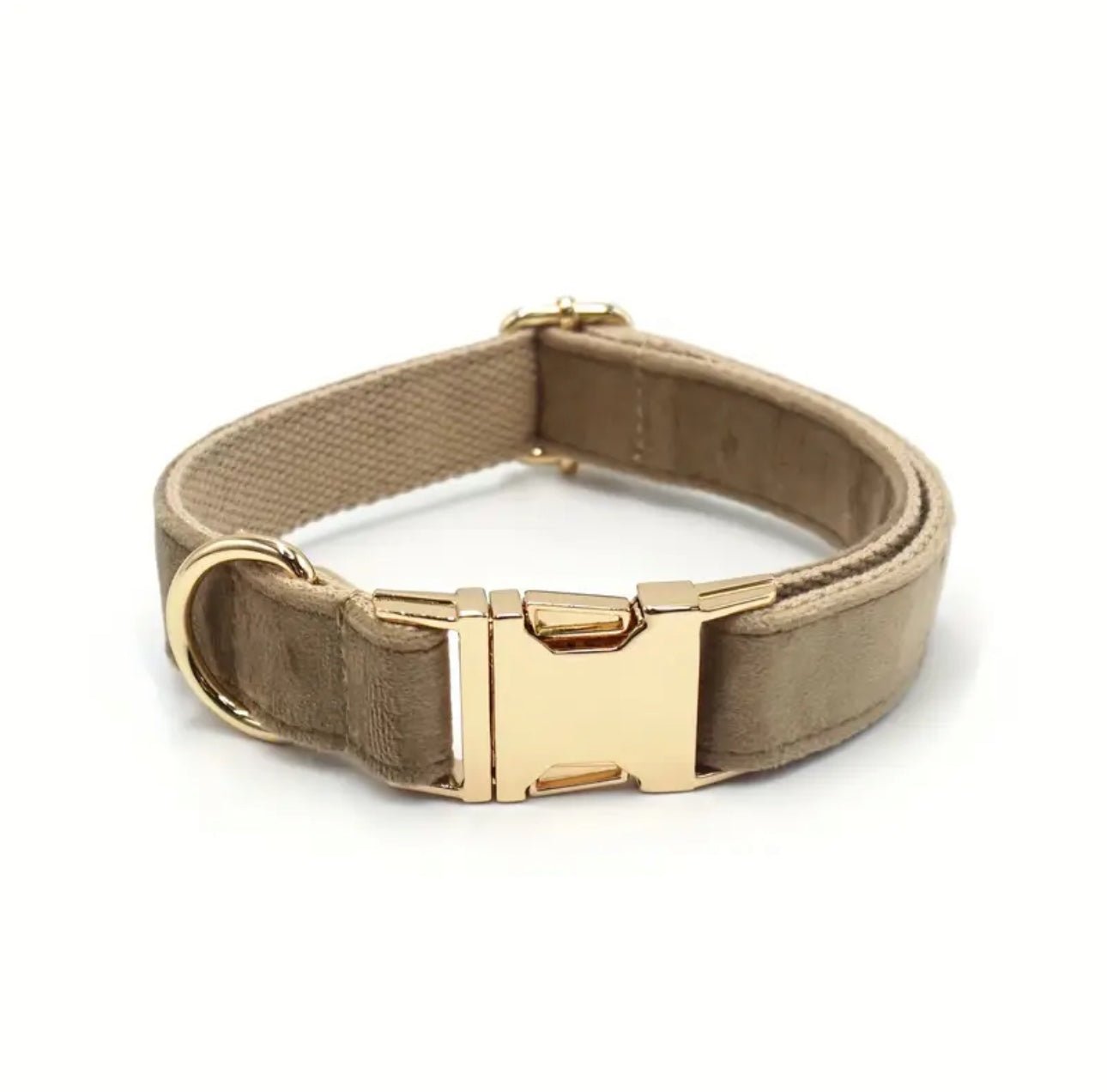 Personalisiertes Hundehalsband mit Name – Samt & Gold | LUIS & LEON - LUIS & LEON