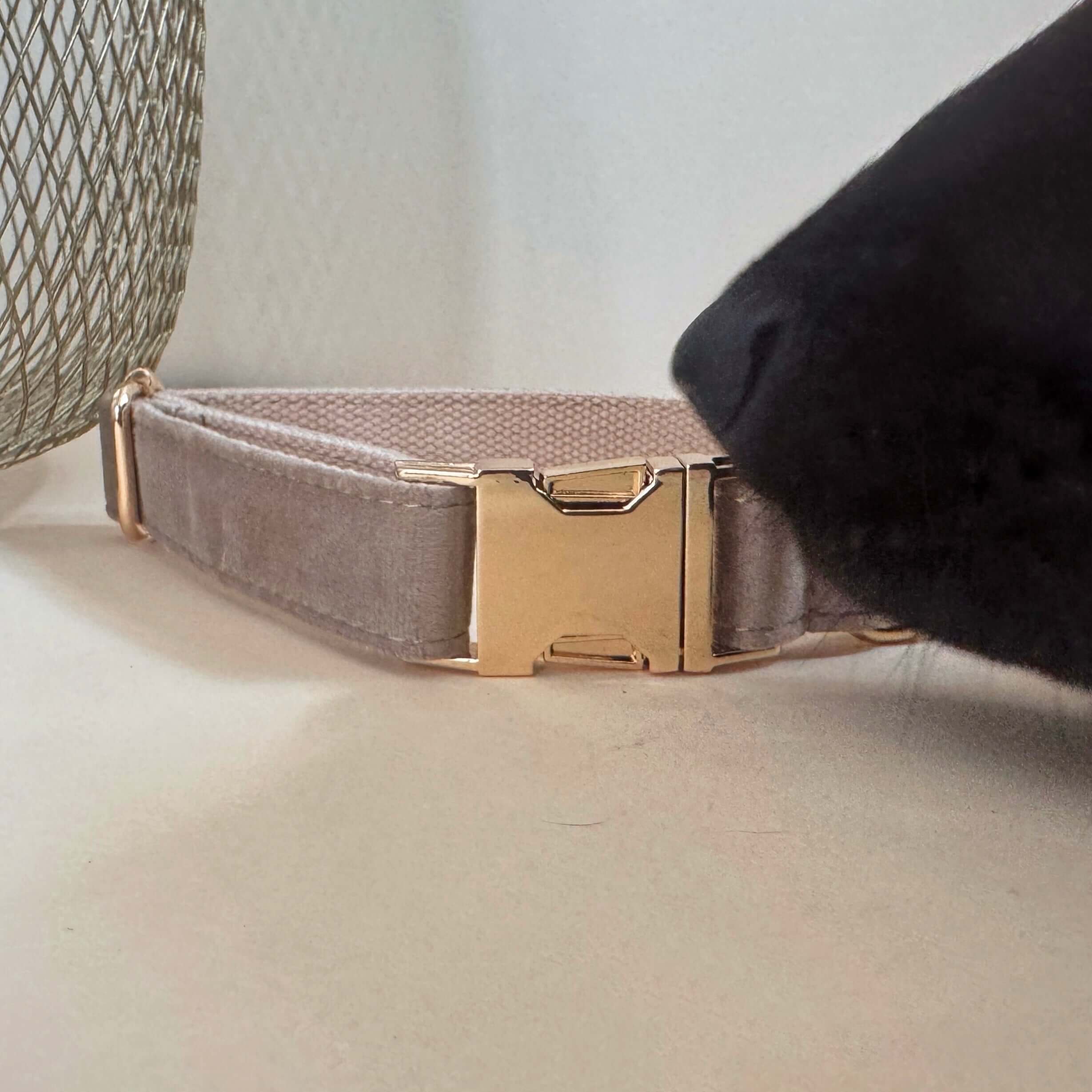 Personalisiertes Hundehalsband mit Name – Samt & Gold | LUIS & LEON - LUIS & LEON