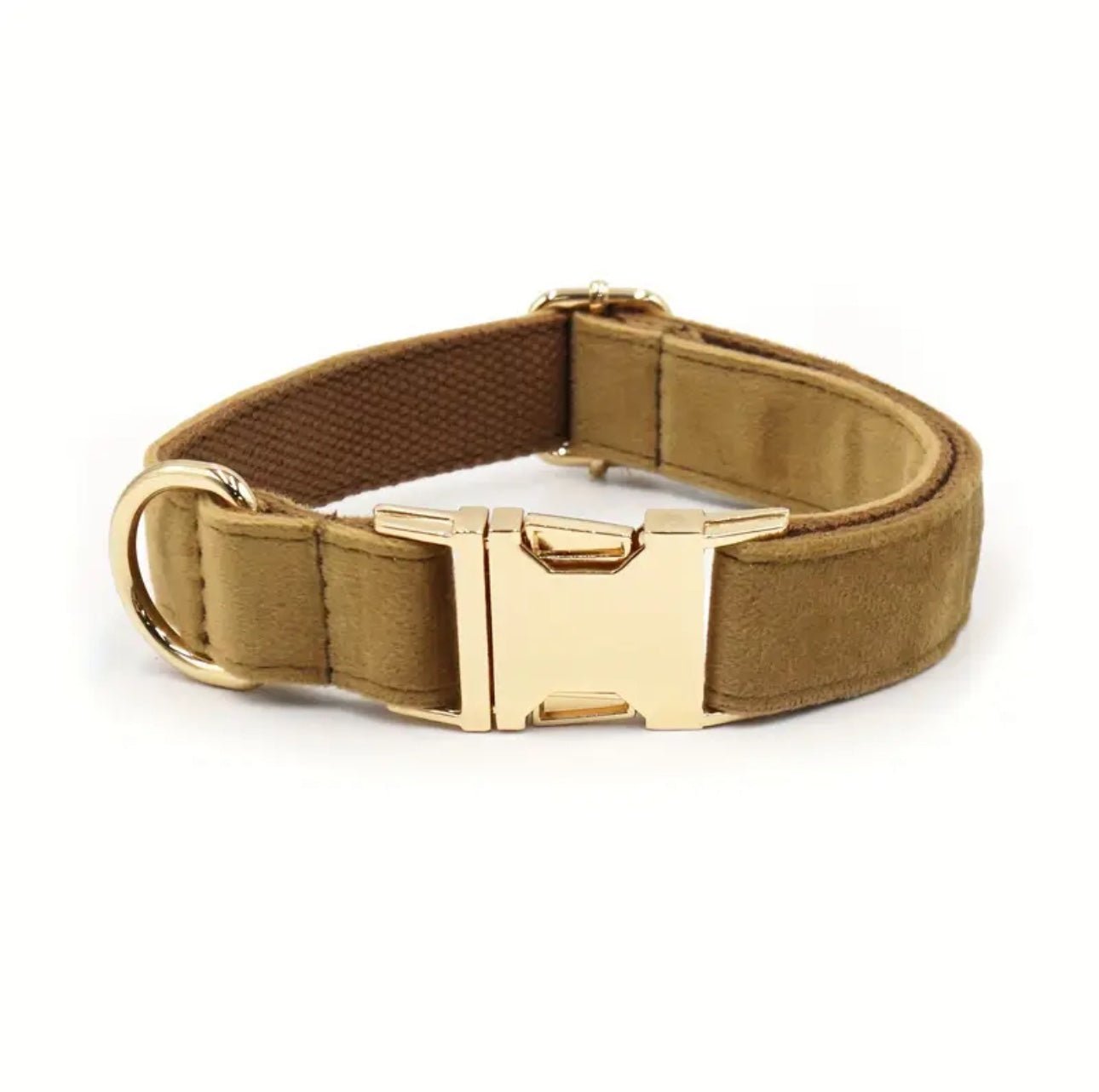 Personalisiertes Hundehalsband mit Name – Samt & Gold | LUIS & LEON - LUIS & LEON