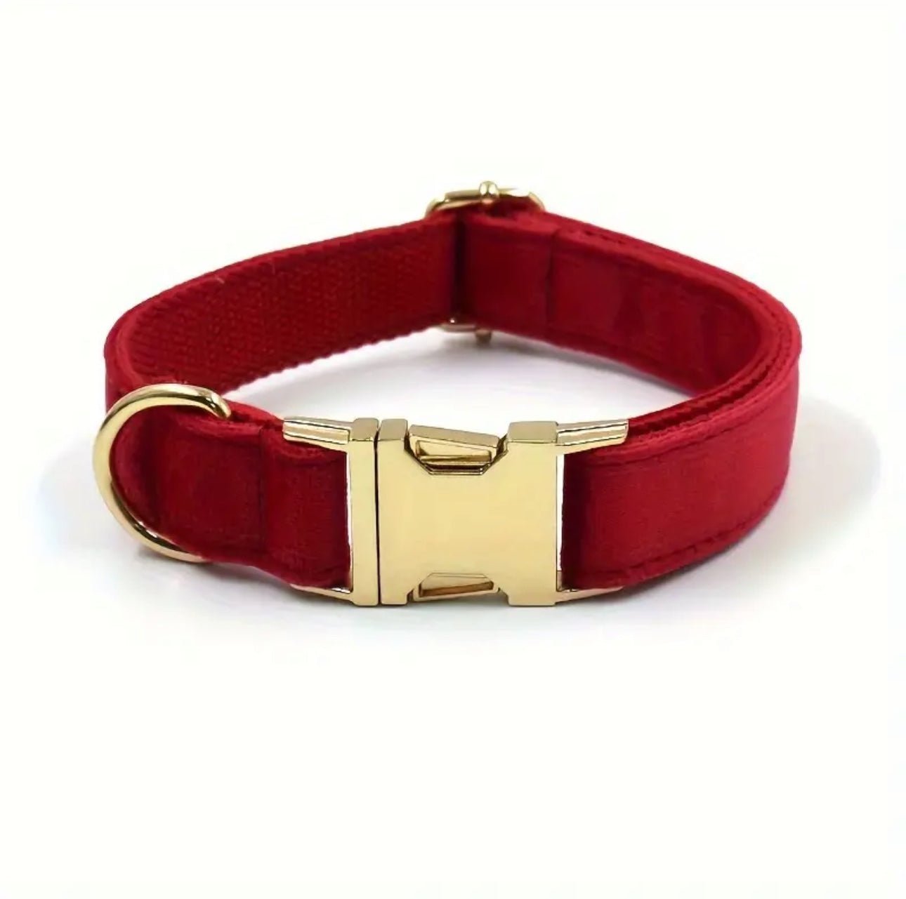 Personalisiertes Hundehalsband mit Name – Samt & Gold | LUIS & LEON - LUIS & LEON