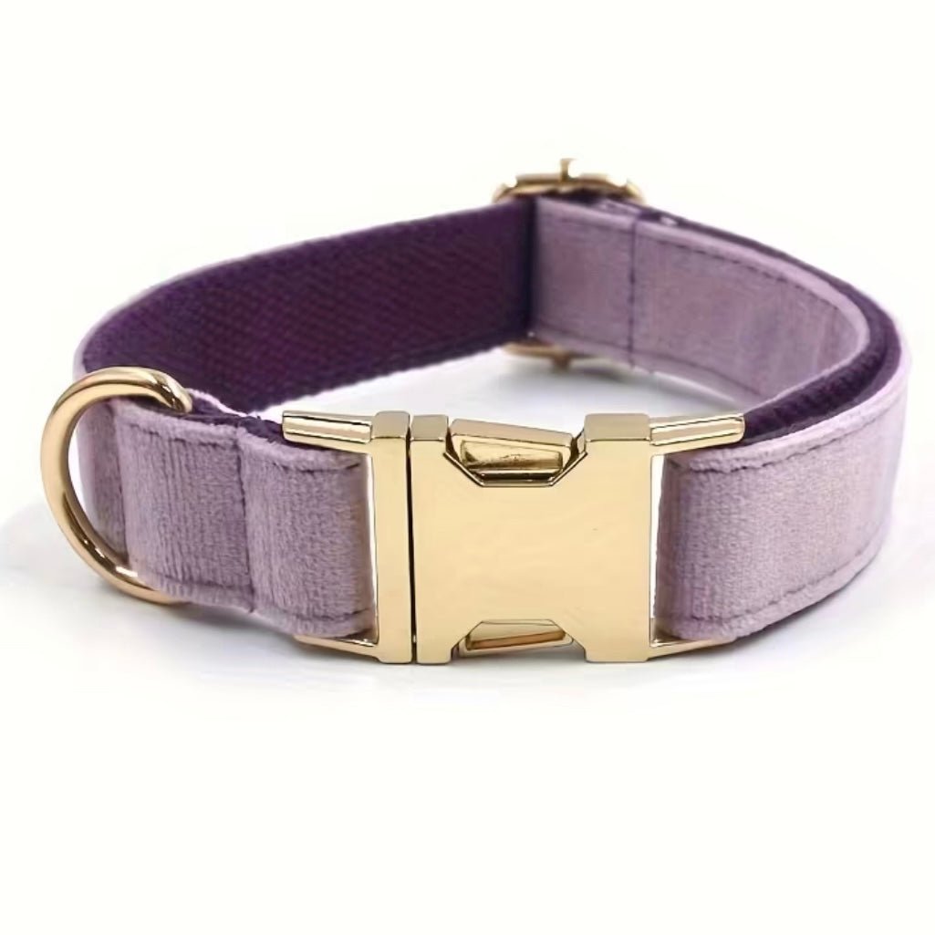Personalisiertes Hundehalsband mit Name – Samt & Gold | LUIS & LEON - LUIS & LEON