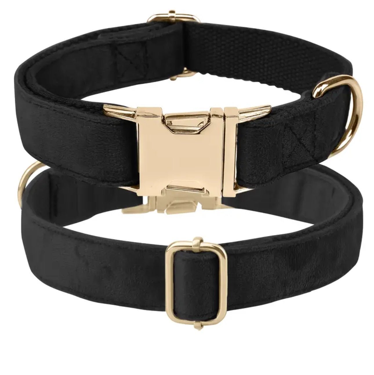 Personalisiertes Hundehalsband mit Name – Samt & Gold | LUIS & LEON - LUIS & LEON