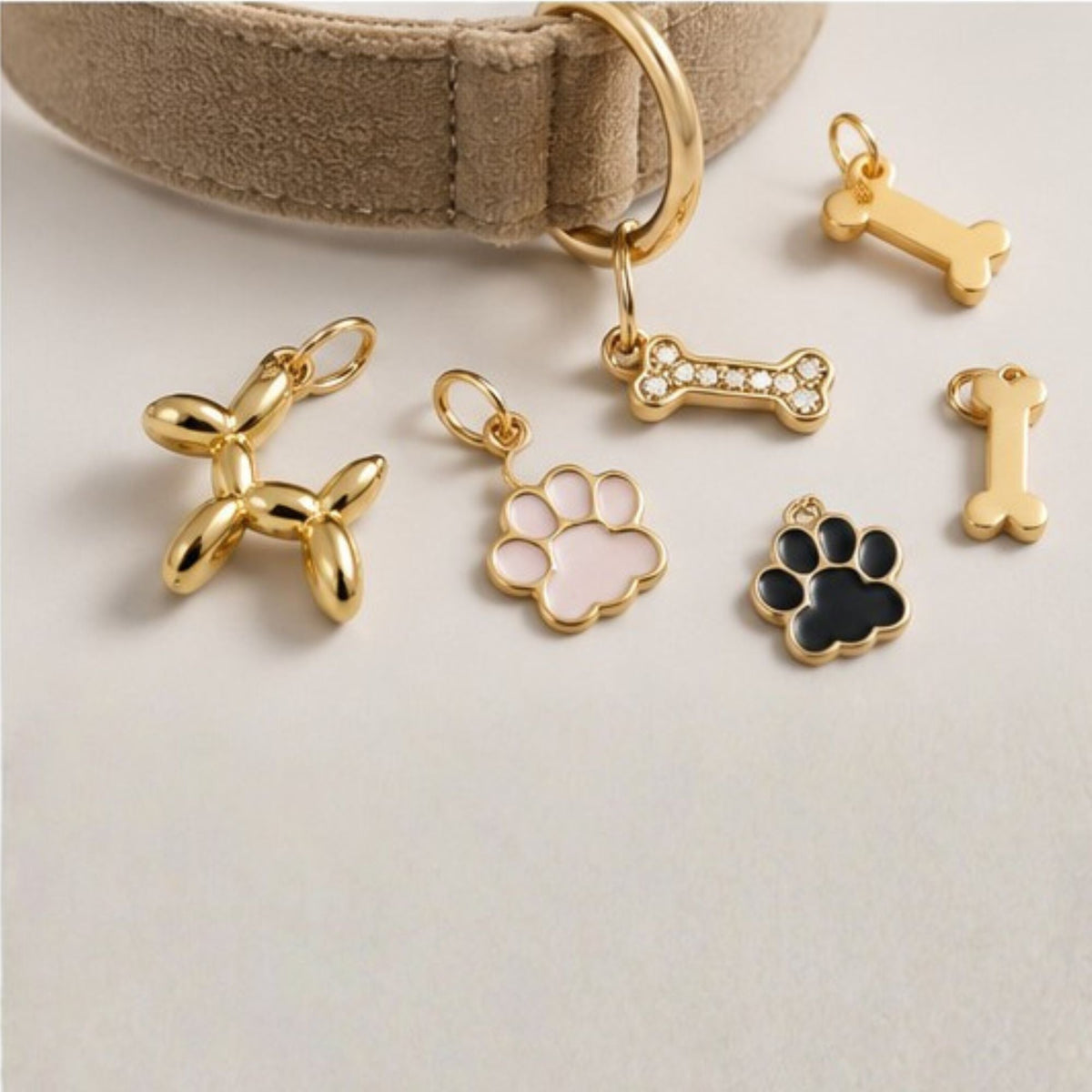 Personalisiertes Hundehalsband Samt – Gold - LUIS & LEON