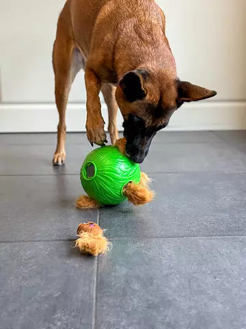 Nina Ottosson DOG SNUFFLE N` TREAT BALL - Puzzle-Ball, Level1 - LUIS & LEON