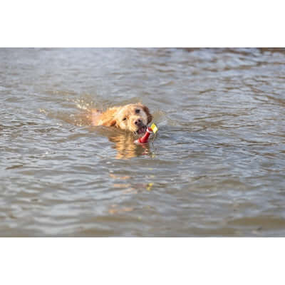 Trixie Aqua Snackboje - Wasserspielzeug für Hunde - LUIS & LEON